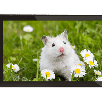 Quad core tablet 1gb, 16gb, dual camera