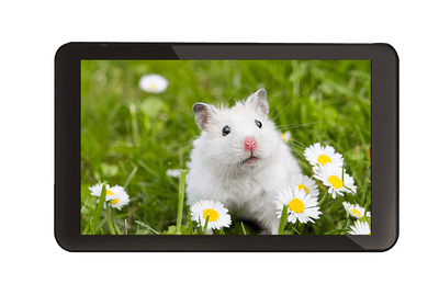 Quad core tablet 1gb, 16gb, dual camera