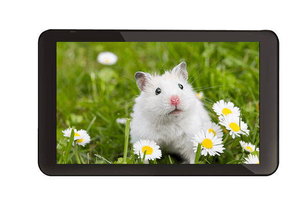 Quad core tablet 1gb, 16gb, dual camera