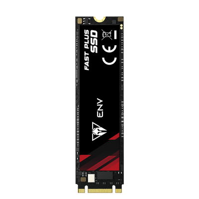 SSD M.2 ENV 256Gb Sata III