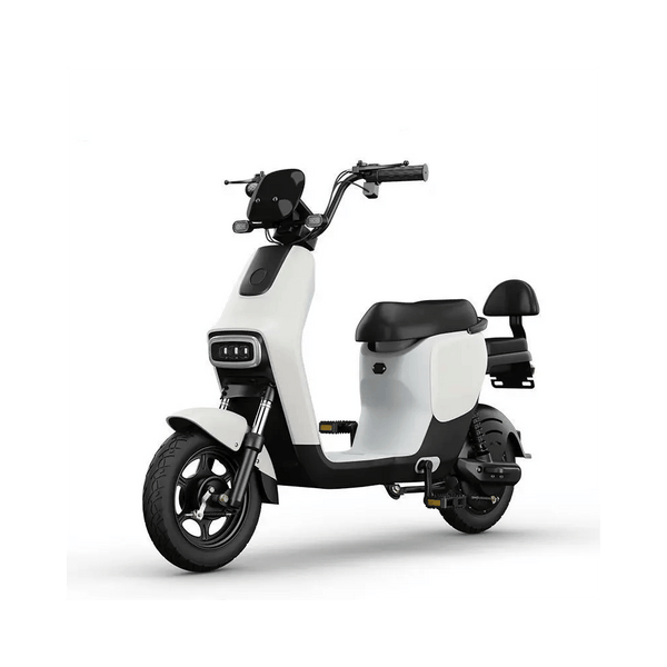 LDM3 750W Electric Motorcycle